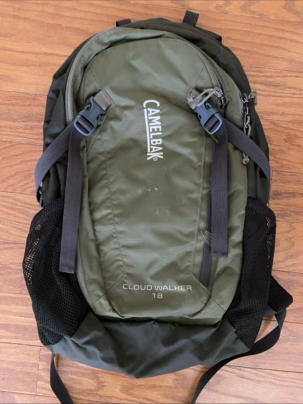 CamelBak Cloud Walker 18 Backpack in Olive/Black